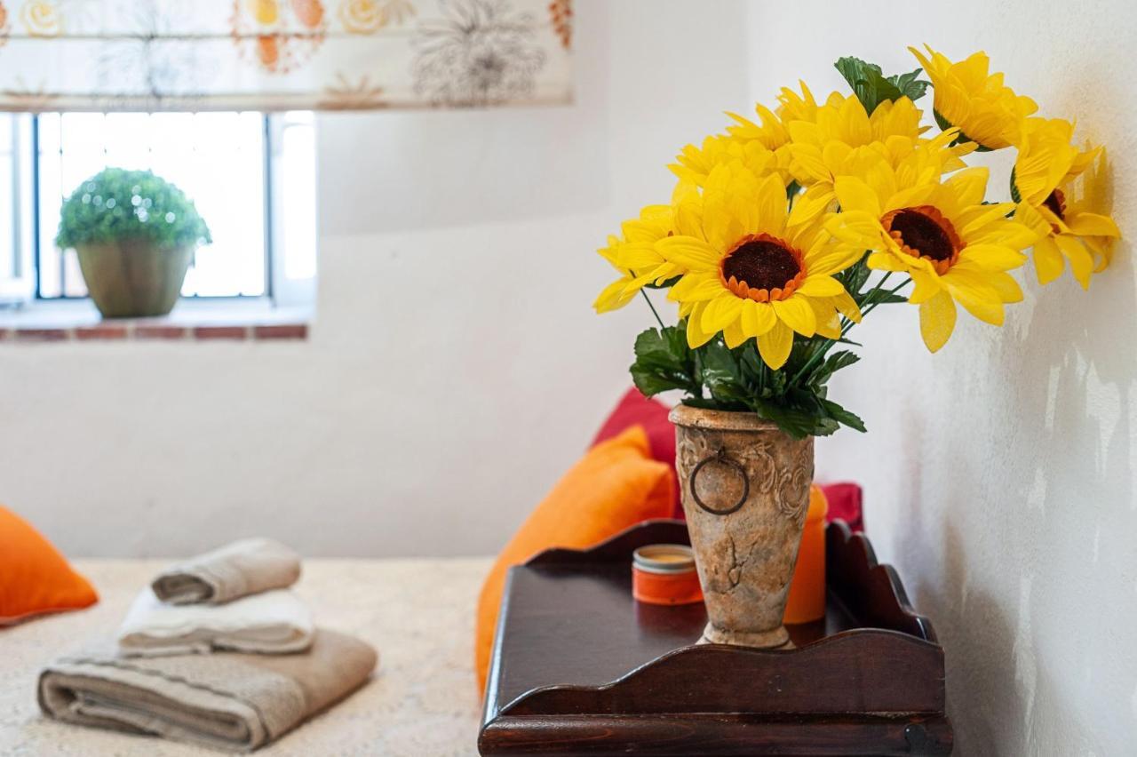 Apartamento Los Girasoles 베예데라프론테라 외부 사진