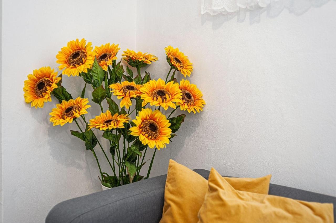 Apartamento Los Girasoles 베예데라프론테라 외부 사진
